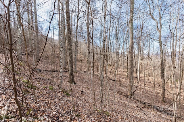 99999 Little Pond Pass Unit E21, Mars Hill, NC 28754 - photo 4