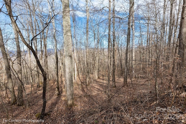 99999 Little Pond Pass Unit E21, Mars Hill, NC 28754 - photo 5