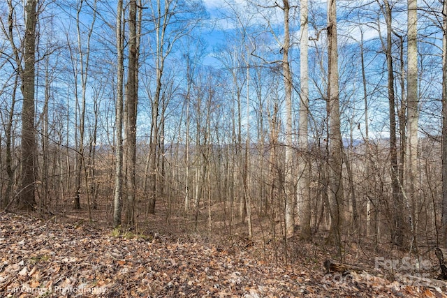 99999 Little Pond Pass Unit E21, Mars Hill, NC 28754 - photo 6