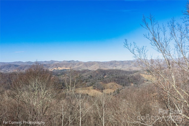 99999 Little Pond Pass Unit E21, Mars Hill, NC 28754 - photo 7