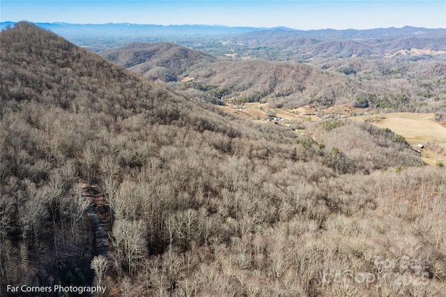 99999 Little Pond Pass Unit E21, Mars Hill, NC 28754 - photo 8