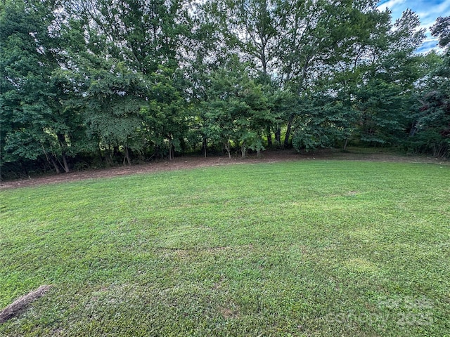7298 Palm Tree Dr, Vale, NC 28168 - photo 16