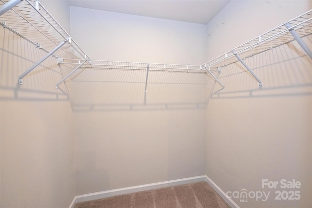825 Renee Ave Unit 108, Fort Mill, SC 29715 - photo 24