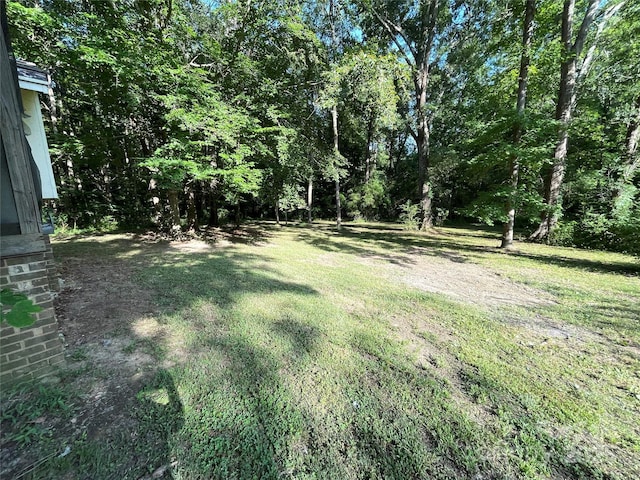 3388 Heisler Rd, Rock Hill, SC 29730 - photo 19