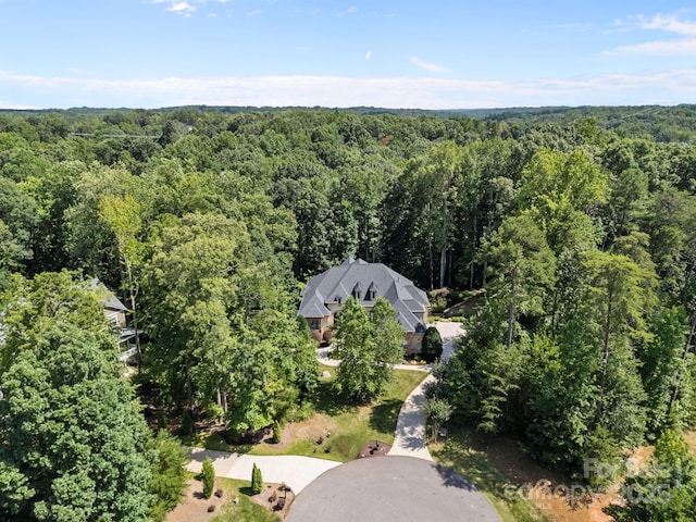 242 Anniston Way, Davidson, NC 28036 - photo 11