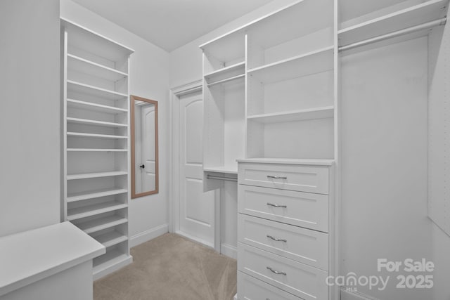 242 Anniston Way, Davidson, NC 28036 - photo 41