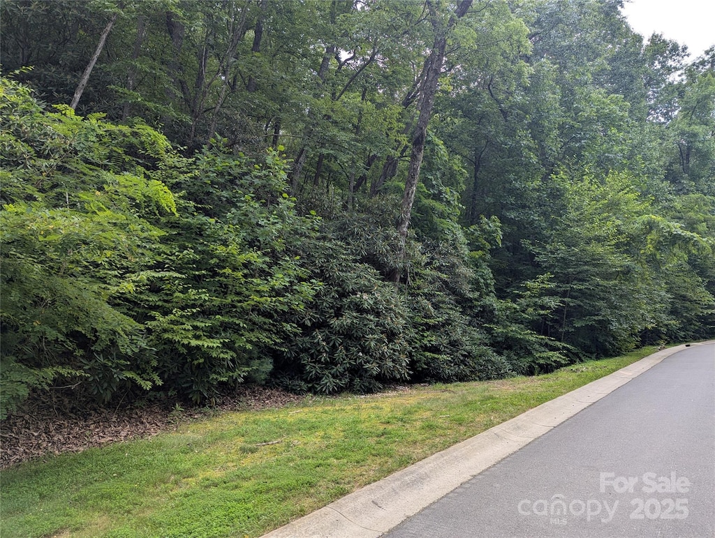 64 Settings Blvd Unit 252, Black Mountain, NC 28711 - photo 2