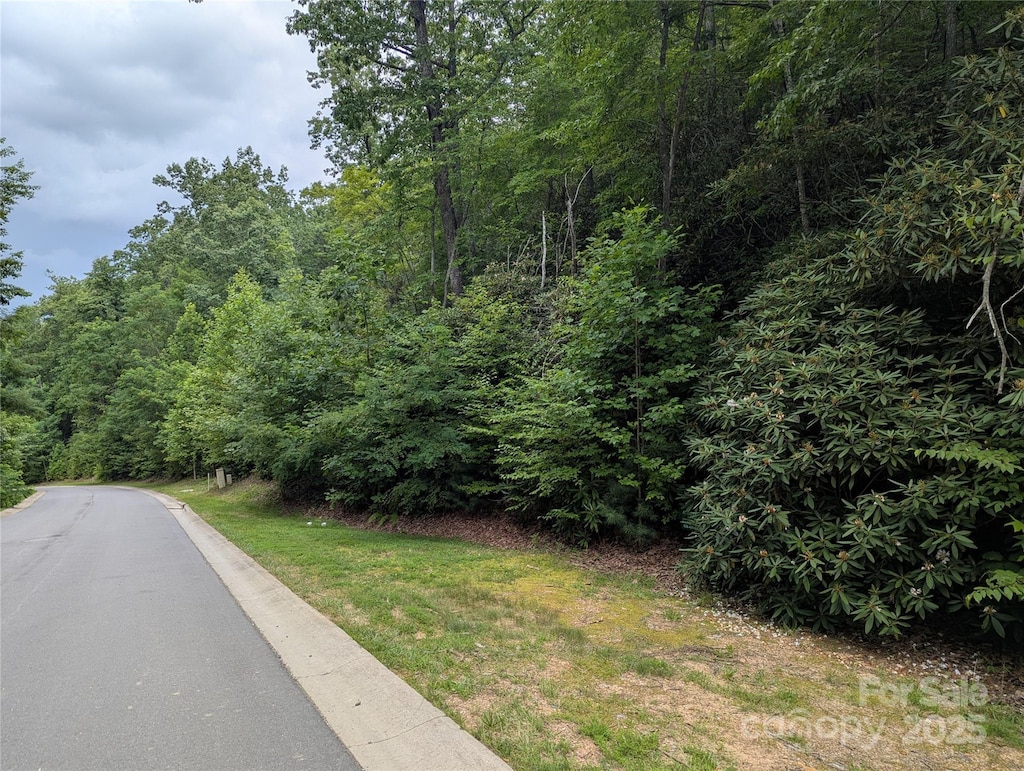 64 Settings Blvd Unit 252, Black Mountain, NC 28711 - photo 3