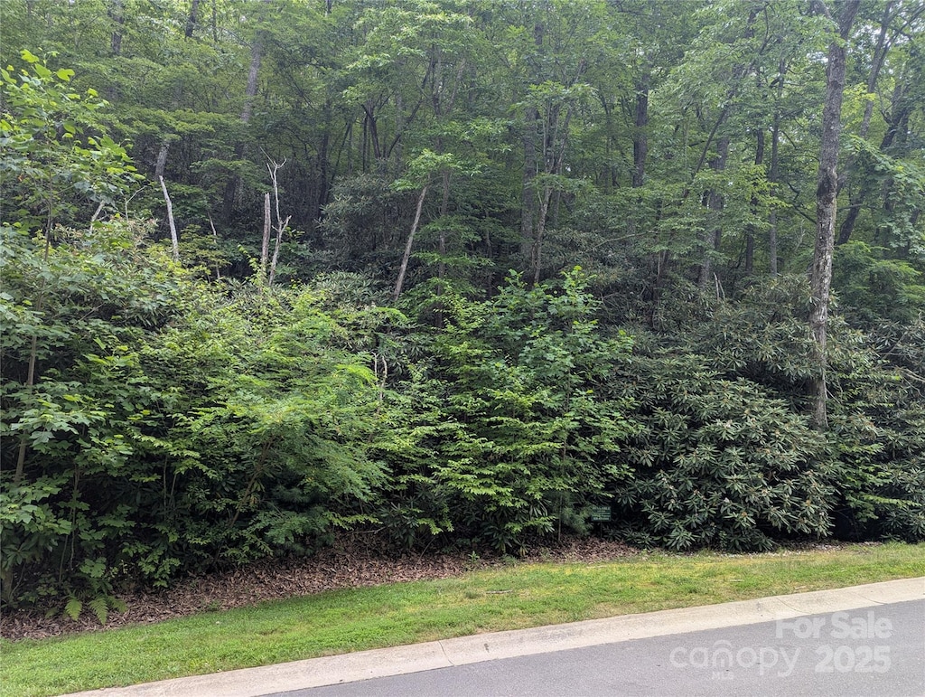 64 Settings Blvd Unit 252, Black Mountain, NC 28711 - photo 4