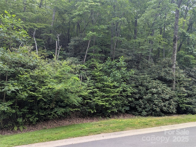 64 Settings Blvd Unit 252, Black Mountain, NC 28711 - photo 4