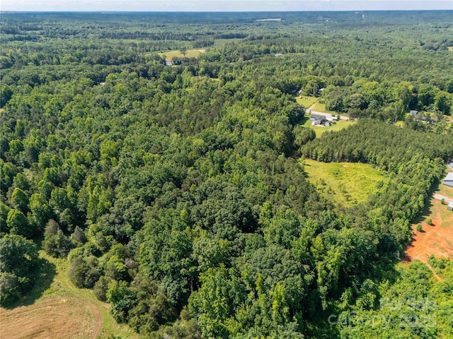 12.85ACRES Flat Creek Rd, Heath Springs, SC 29058 - photo 3