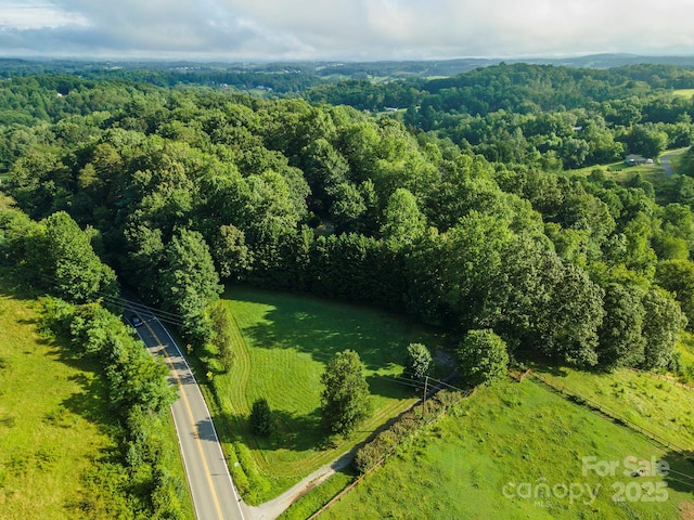 269 Newfound Rd, Leicester, NC 28748 - photo 4