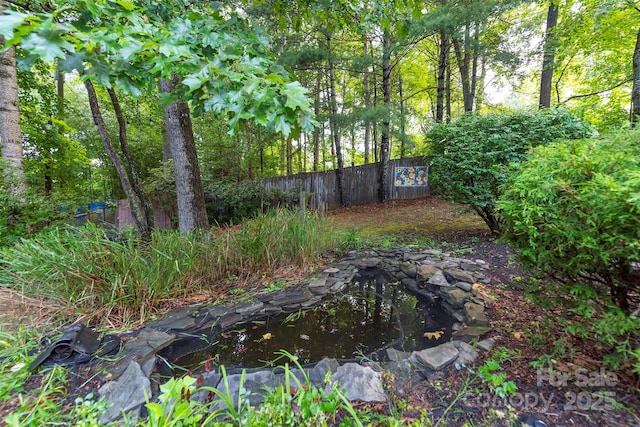 269 Newfound Rd, Leicester, NC 28748 - photo 28