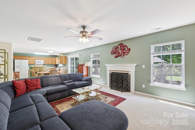 1404 Jessicas Way, Rock Hill, SC 29730 - photo 7