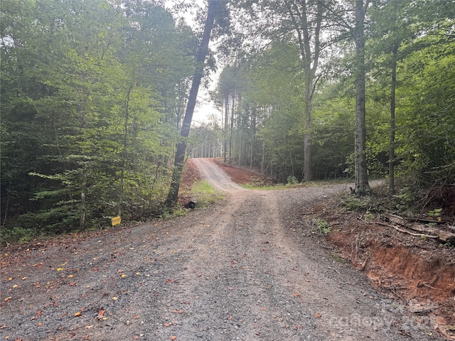 00 Coxe Rd Unit 4, Tryon, NC 28782 - photo 2