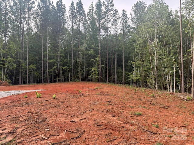 00 Coxe Rd Unit 4, Tryon, NC 28782 - photo 7