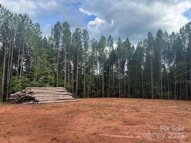 00 Coxe Rd Unit 4, Tryon, NC 28782 - photo 8