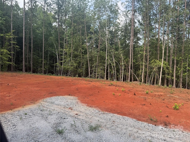 00 Coxe Rd Unit 4, Tryon, NC 28782 - photo 10
