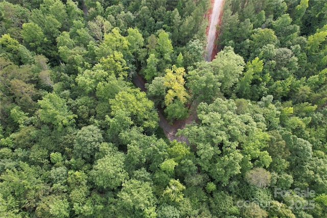 00 Coxe Rd Unit 4, Tryon, NC 28782 - photo 12