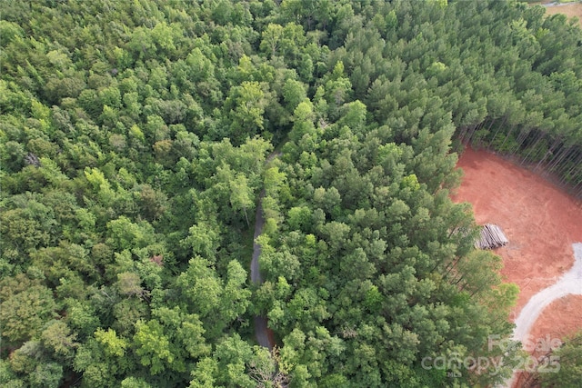 00 Coxe Rd Unit 4, Tryon, NC 28782 - photo 13