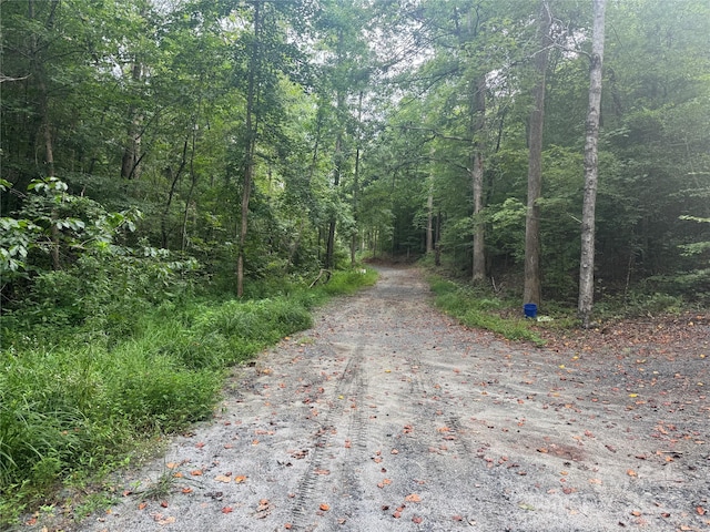 00 Coxe Rd Unit 4, Tryon, NC 28782 - photo 20