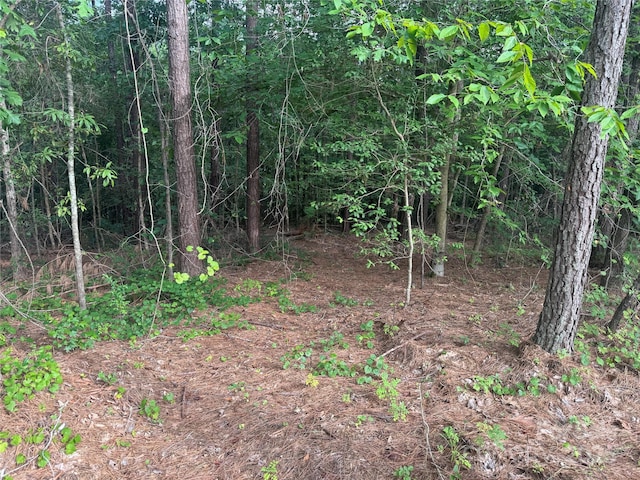 00 Coxe Rd Unit 4, Tryon, NC 28782 - photo 21