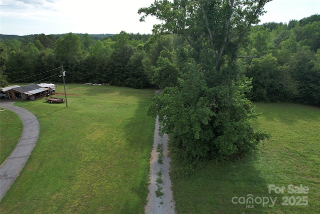 00 Coxe Rd Unit 4, Tryon, NC 28782 - photo 22