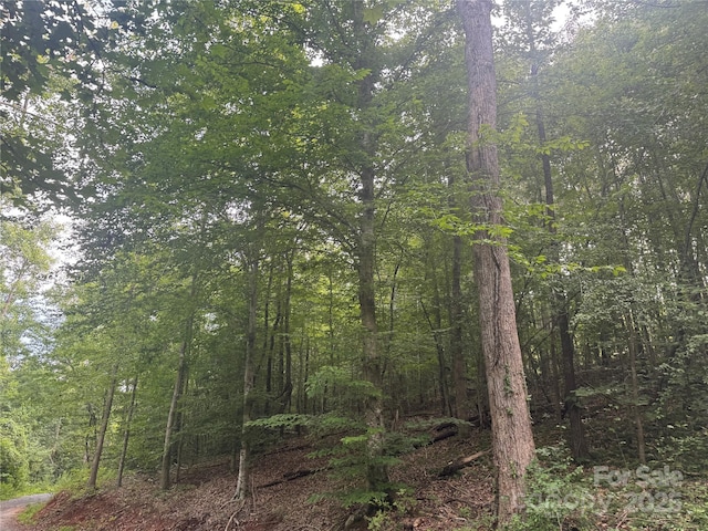 00 Coxe Rd Unit 4, Tryon, NC 28782 - photo 23