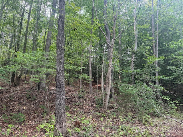 00 Coxe Rd Unit 4, Tryon, NC 28782 - photo 24