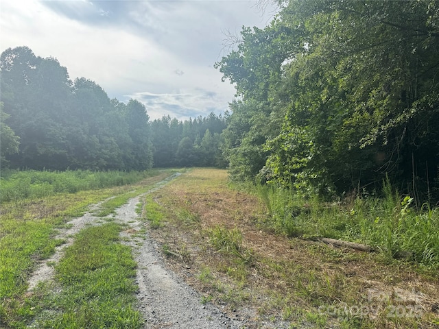 00 Coxe Rd Unit 4, Tryon, NC 28782 - photo 25