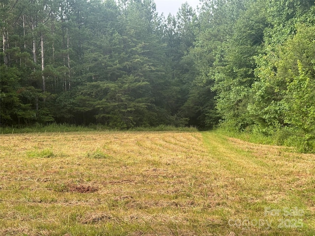 00 Coxe Rd Unit 4, Tryon, NC 28782 - photo 26