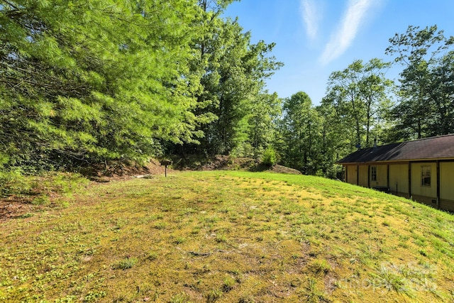 3333 Old Toxaway Rd, Brevard, NC 28712 - photo 5