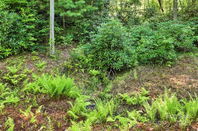 3333 Old Toxaway Rd, Brevard, NC 28712 - photo 6
