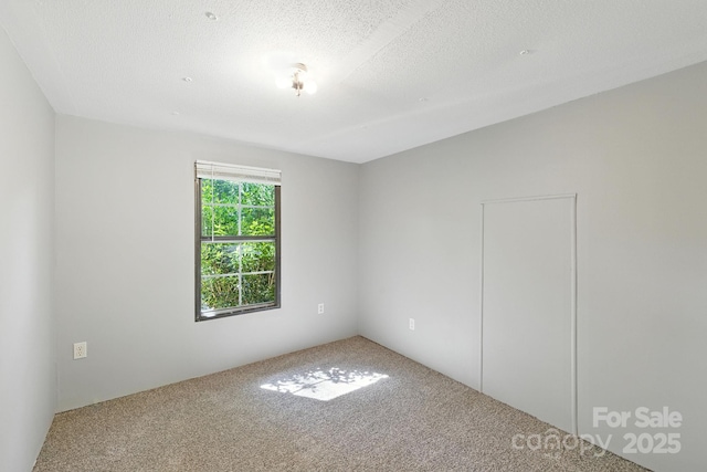 3333 Old Toxaway Rd, Brevard, NC 28712 - photo 14