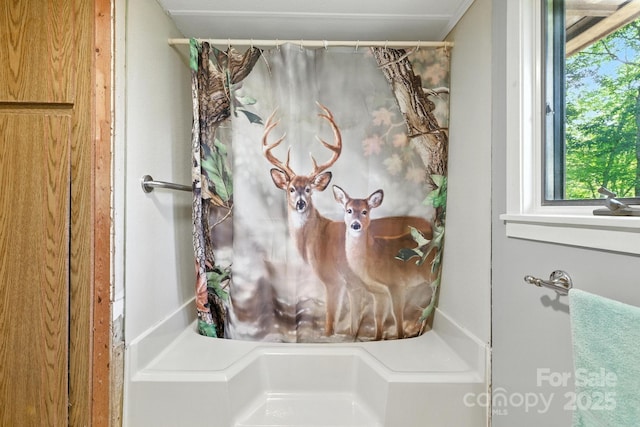 3333 Old Toxaway Rd, Brevard, NC 28712 - photo 21