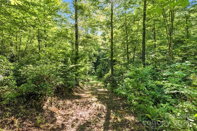 3333 Old Toxaway Rd, Brevard, NC 28712 - photo 22