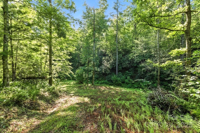 3333 Old Toxaway Rd, Brevard, NC 28712 - photo 23