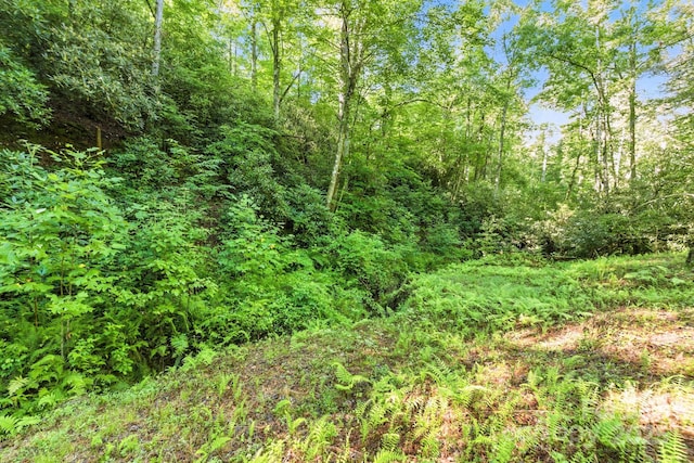 3333 Old Toxaway Rd, Brevard, NC 28712 - photo 24