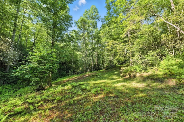 3333 Old Toxaway Rd, Brevard, NC 28712 - photo 25