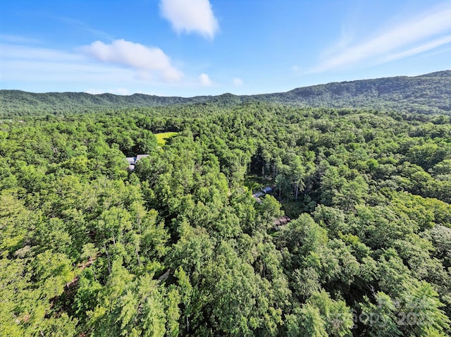 3333 Old Toxaway Rd, Brevard, NC 28712 - photo 31
