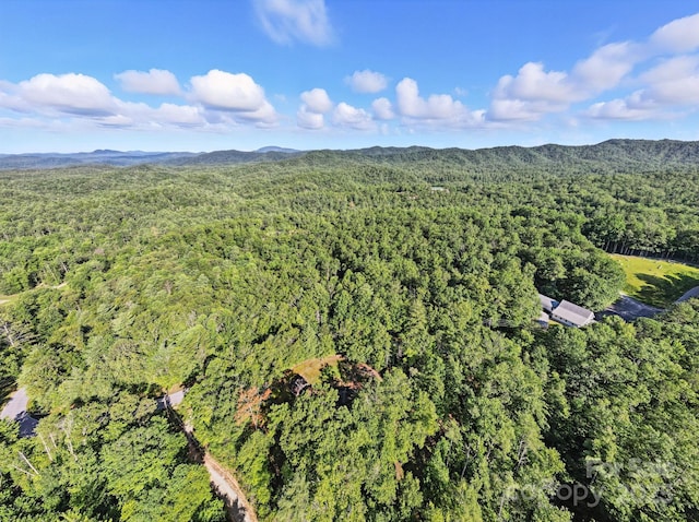 3333 Old Toxaway Rd, Brevard, NC 28712 - photo 32