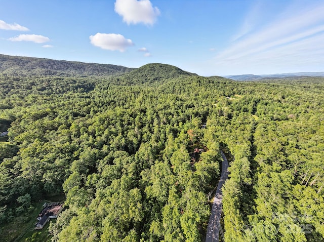 3333 Old Toxaway Rd, Brevard, NC 28712 - photo 33