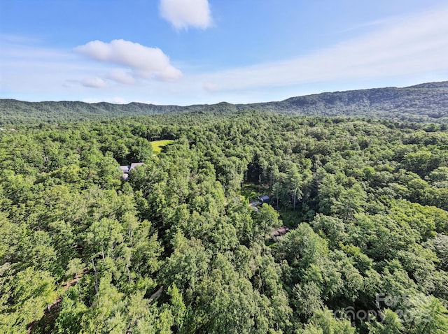 3333 Old Toxaway Rd, Brevard, NC 28712 - photo 36