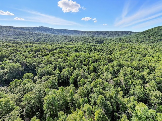 3333 Old Toxaway Rd, Brevard, NC 28712 - photo 37