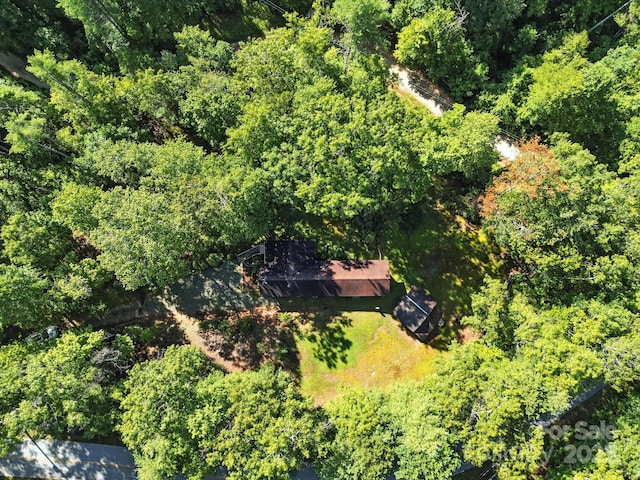 3333 Old Toxaway Rd, Brevard, NC 28712 - photo 38