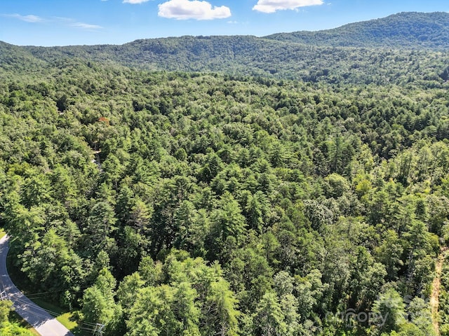 3333 Old Toxaway Rd, Brevard, NC 28712 - photo 39
