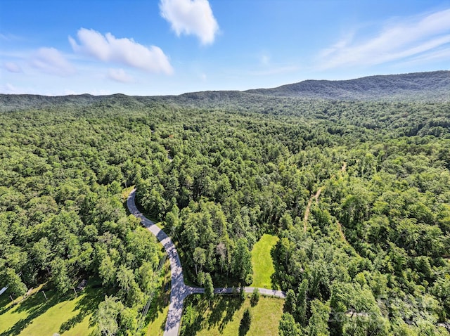 3333 Old Toxaway Rd, Brevard, NC 28712 - photo 40