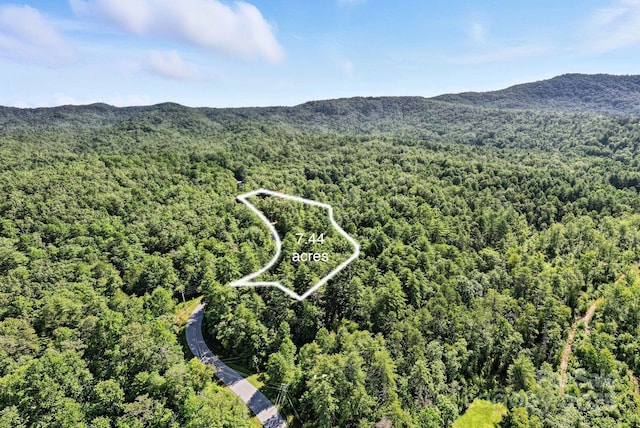 3333 Old Toxaway Rd, Brevard, NC 28712 - photo 44