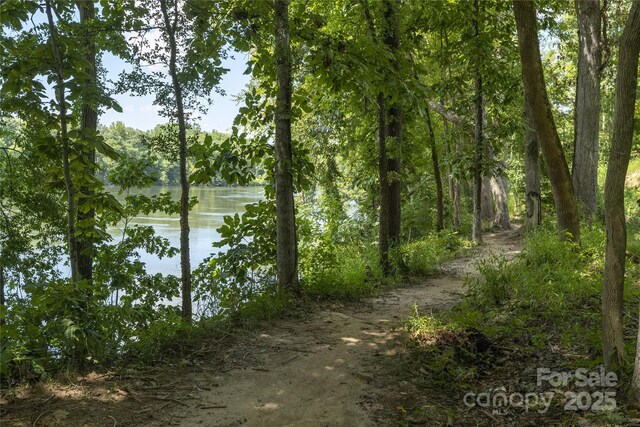 3036 Patchwork Ct, Fort Mill, SC 29708 - photo 39