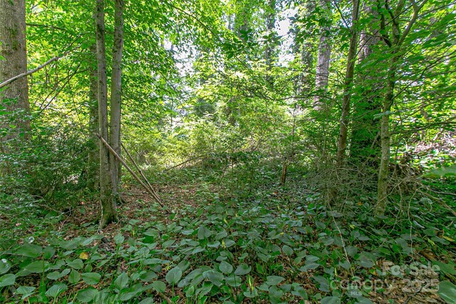 TBD Grove St Unit 25, Brevard, NC 28712 - photo 5